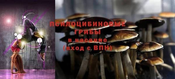 a pvp Армянск