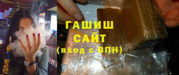 хмурый Аркадак