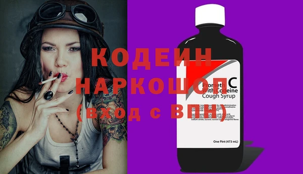 хмурый Аркадак