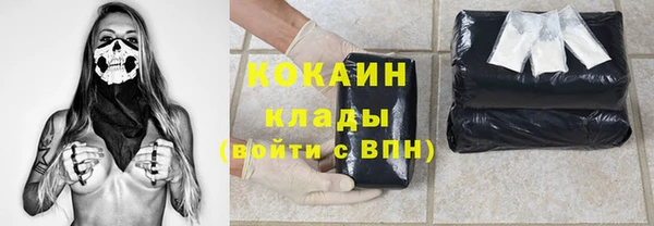 хмурый Аркадак