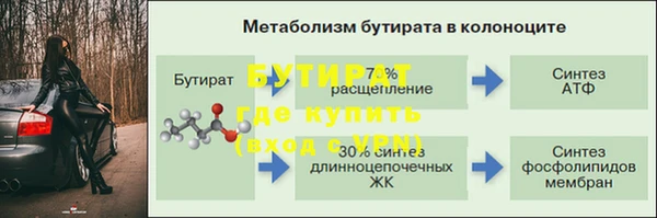 сатива Арсеньев