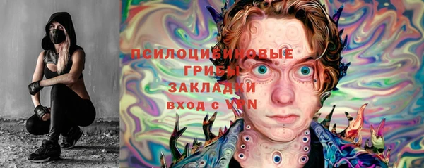 молекула духа Алексин