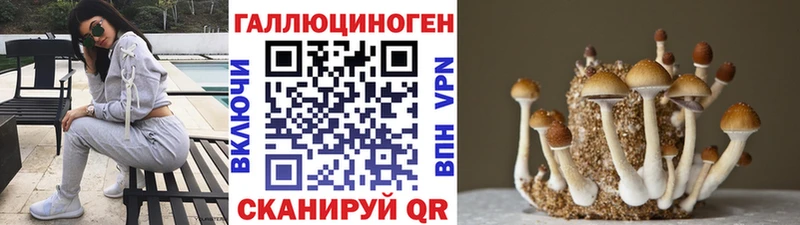 площадка официальный сайт купить наркоту Выкса Псилоцибиновые грибы мухоморы mega