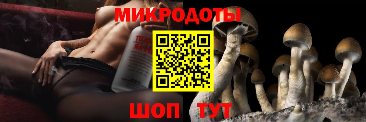 Псилоцибиновые грибы Psilocybine cubensis  Псилоцибиновые грибы GOLDEN TEACHER  Выкса  Вход с VPN 